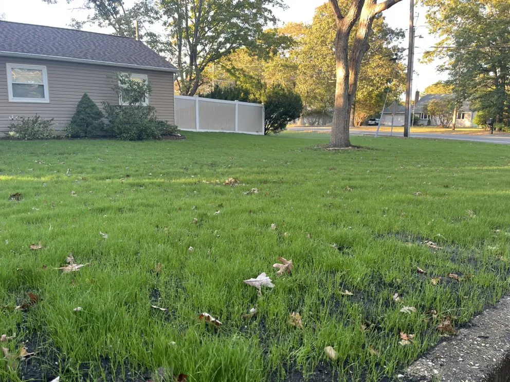 Top-rated landscaping services in Mastic Beach, NY by E Lawn Care