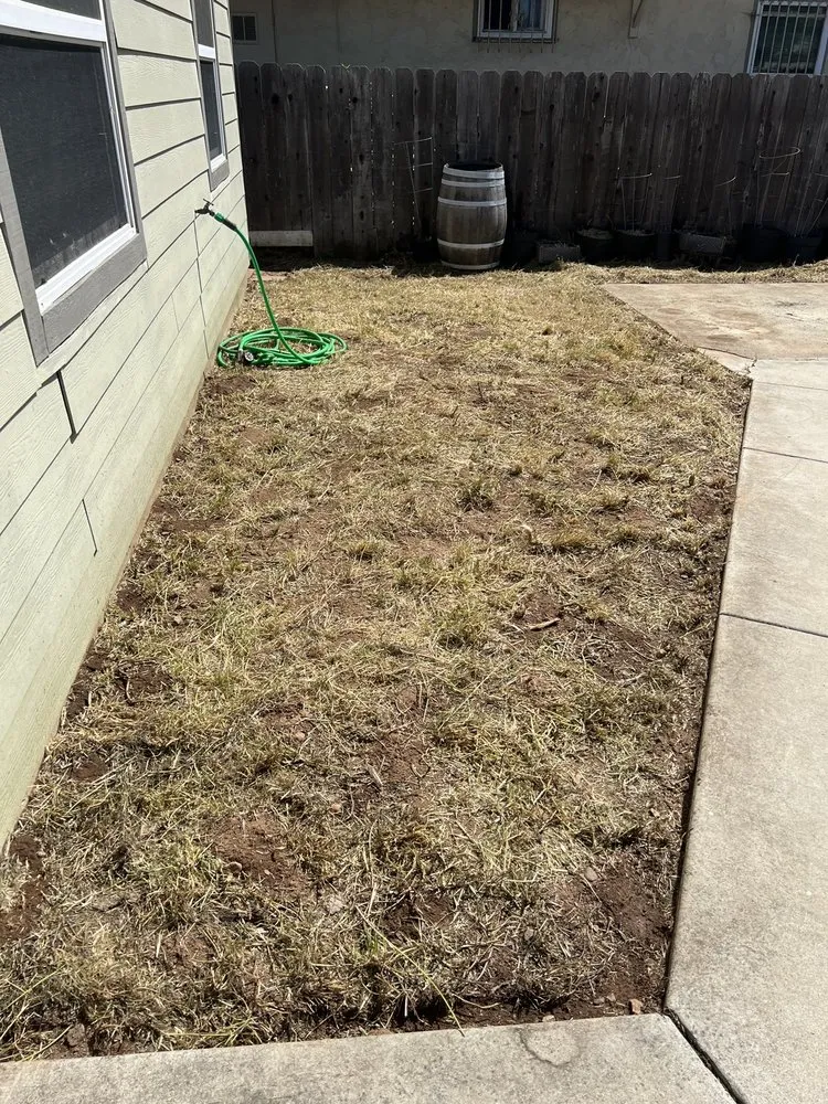 Reliable landscape design in La Mesa, CA - E-Lawn