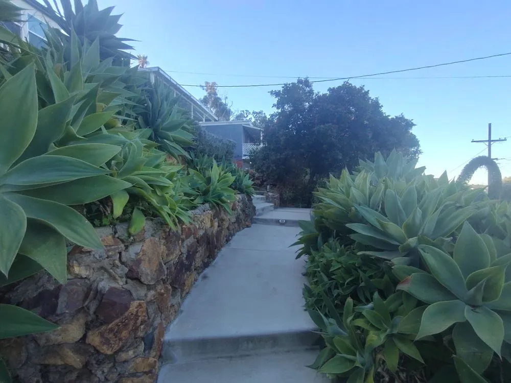 Trusted landscape design in La Mesa, CA by E-Lawn