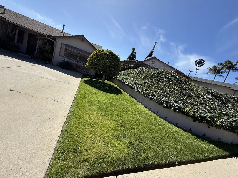 Custom garden landscaping for outdoor upgrades in La Mesa, CA by E-Lawn