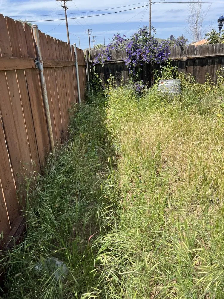 Top-rated lawn mowing service for residential properties in La Mesa, CA by E-Lawn