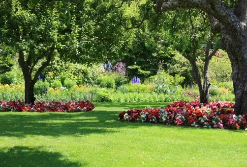 Local residential landscaping in St Petersburg, FL by E-Lawns