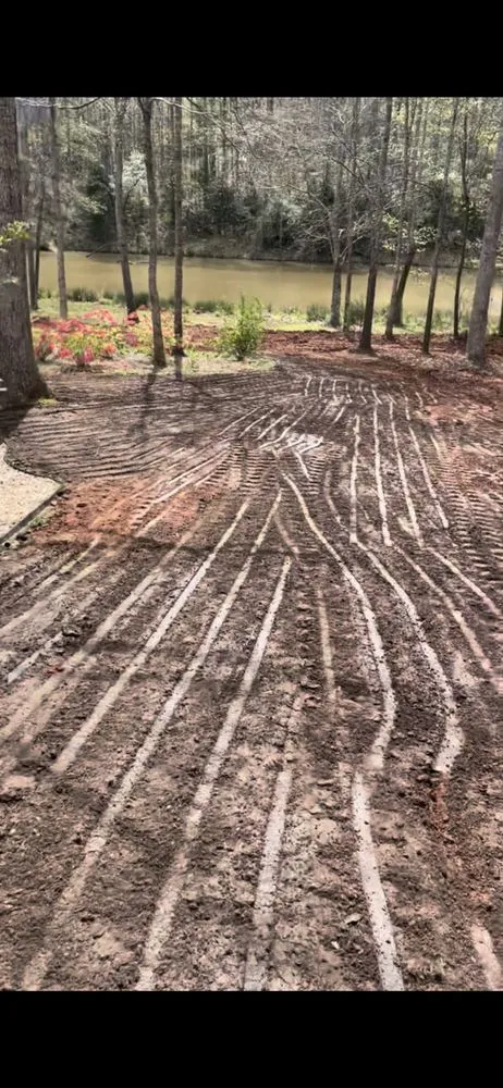 Professional landscape installation in Bishop, GA - E Leveling Grading