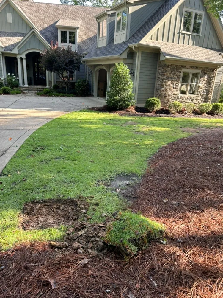 Top-rated outdoor landscaping in Bishop, GA - E Leveling Grading