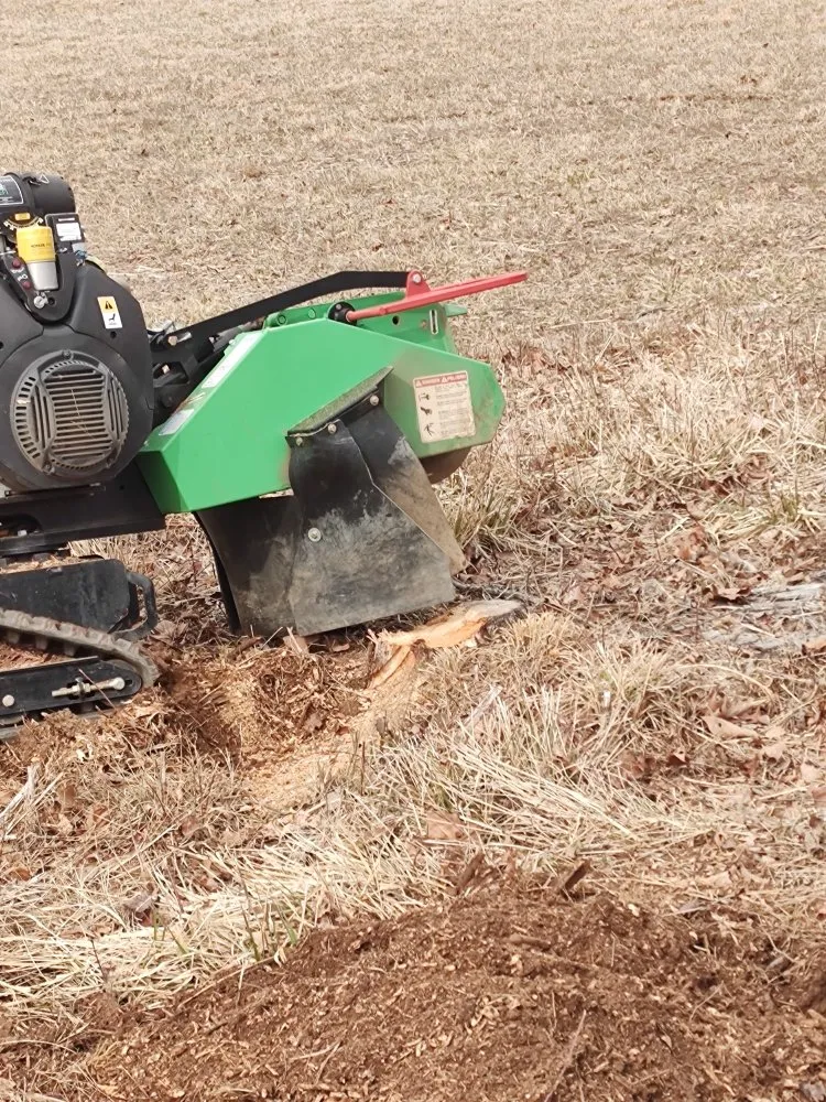 Top-rated landscaping services in Culpeper, VA - E Lewis Services