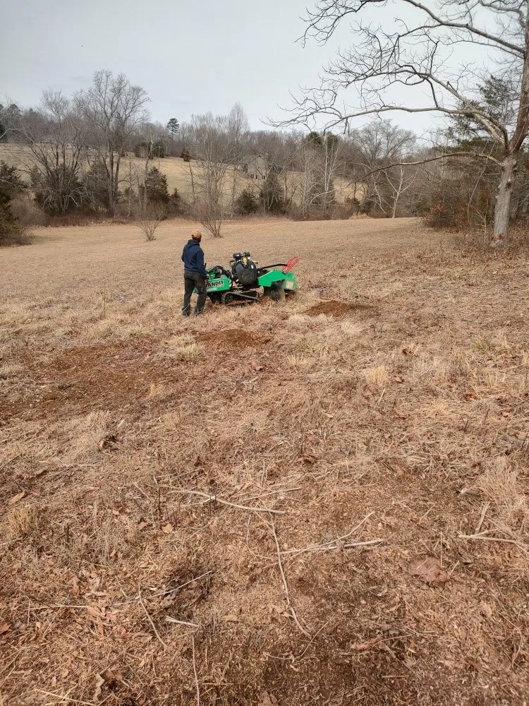 Custom garden landscaping for homes in Culpeper, VA by E Lewis Services