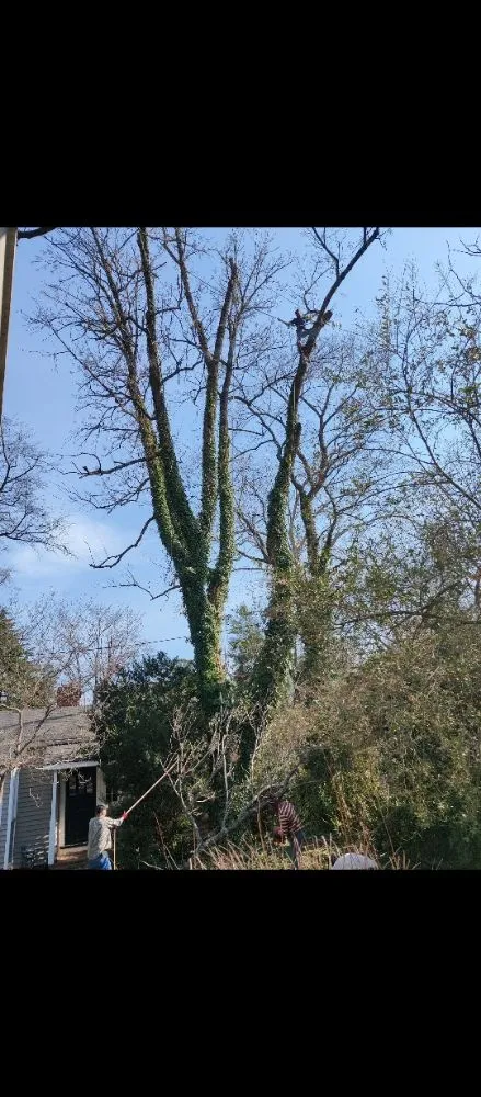 Top-rated garden landscaping with custom design across Culpeper, VA - E Lewis Services