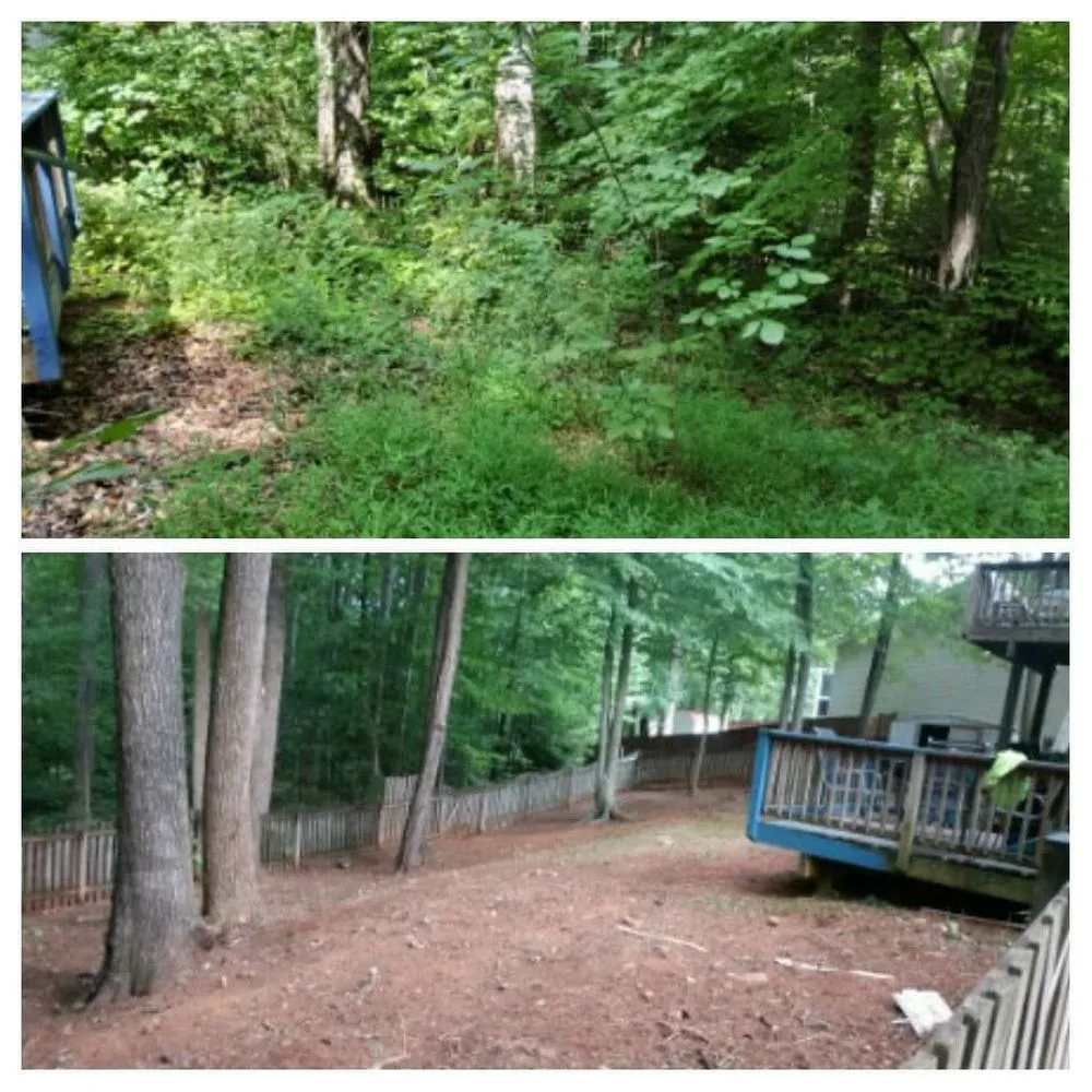 Reliable landscaping services experts serving Culpeper, VA - E Lewis Services