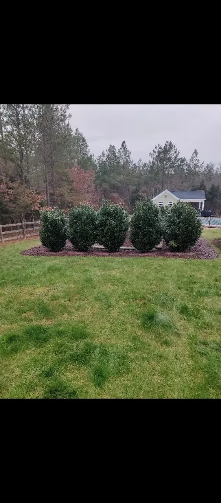 Custom lawn mowing service in Culpeper, VA by E Lewis Services