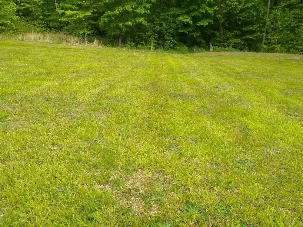 Professional garden landscaping for year-round maintenance across Culpeper, VA - E Lewis Services