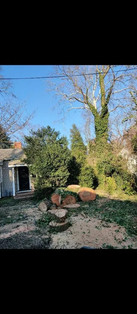 Trusted landscaping services with custom design across Culpeper, VA - E Lewis Services