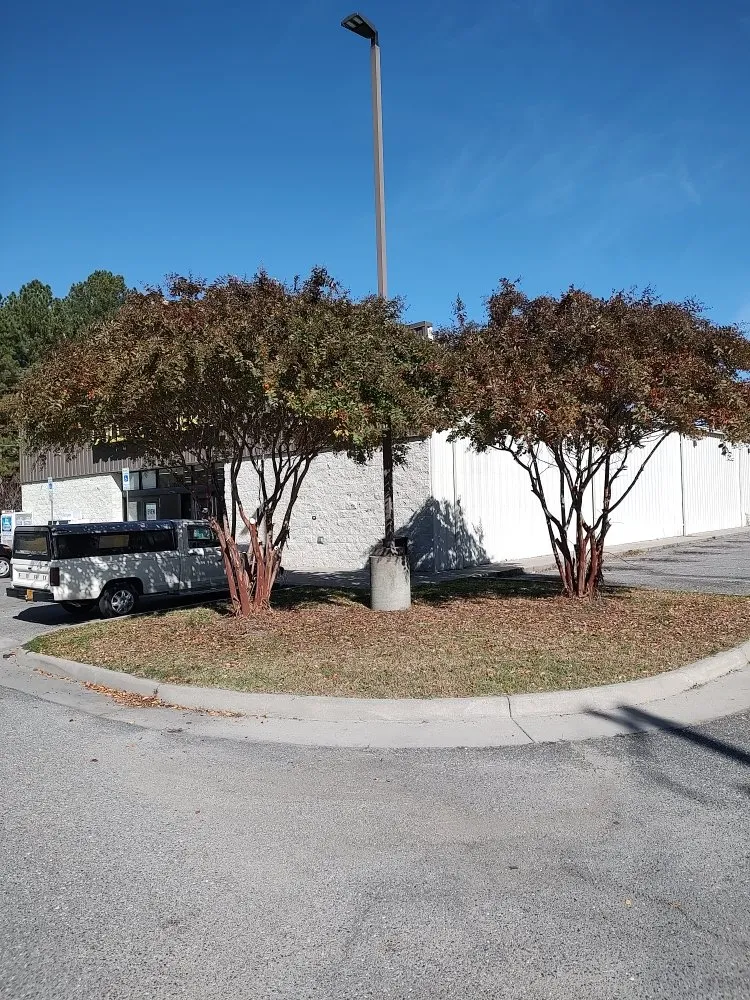 Affordable lawn care service experts serving Culpeper, VA - E Lewis Services