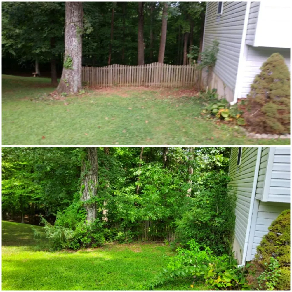 Trusted landscape installation in Culpeper, VA by E Lewis Services