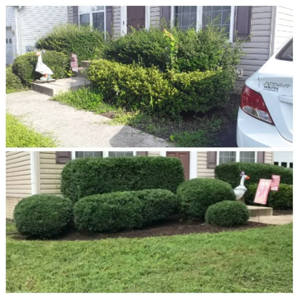 Reliable lawn mowing service near you in Culpeper, VA by E Lewis Services