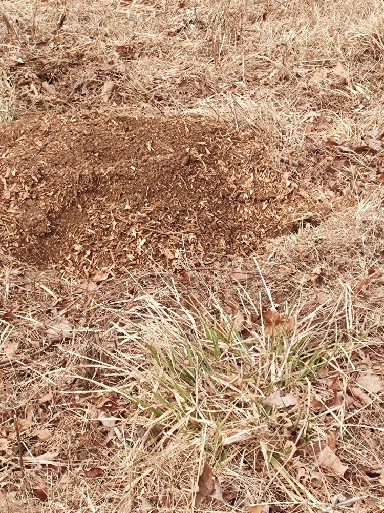 Top-rated landscaping services for homes across Culpeper, VA - E Lewis Services