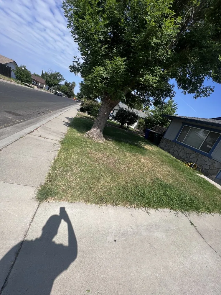 Top-rated lawn mowing service for beautiful yards in Ceres, CA by E M A Landscaping & Maintenance