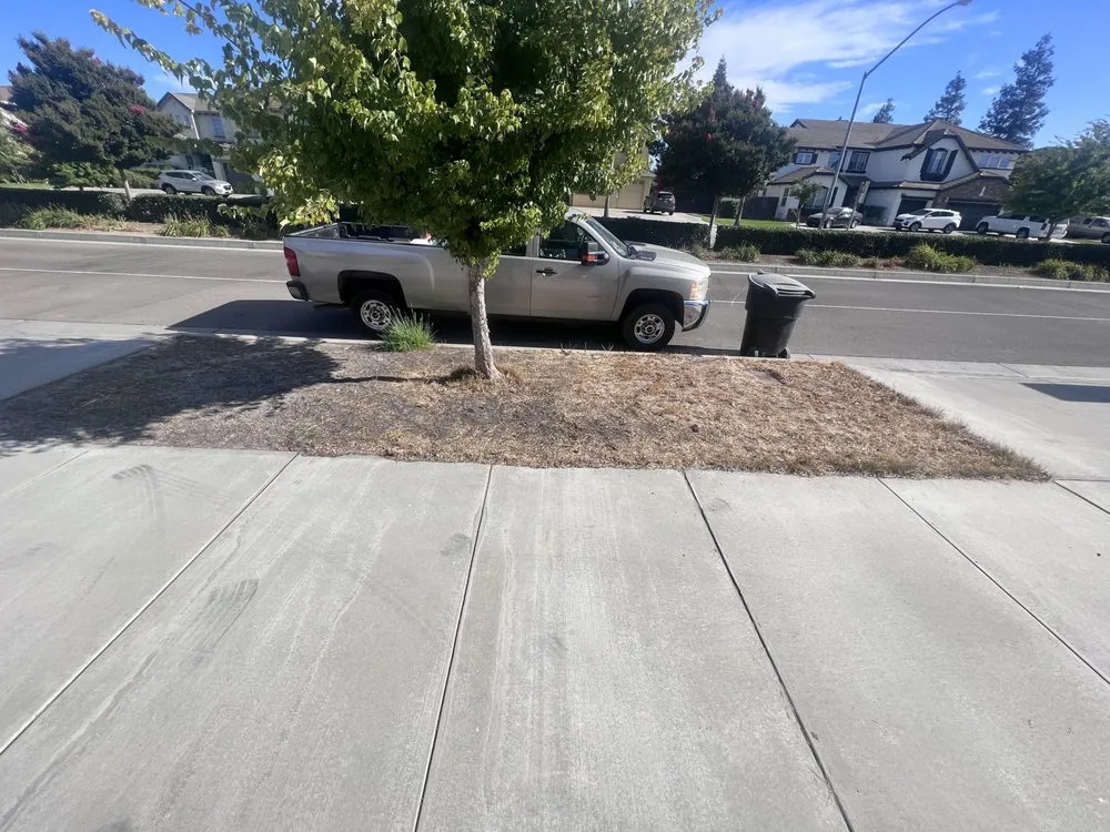 Reliable garden landscaping for residential properties across Ceres, CA - E M A Landscaping & Maintenance