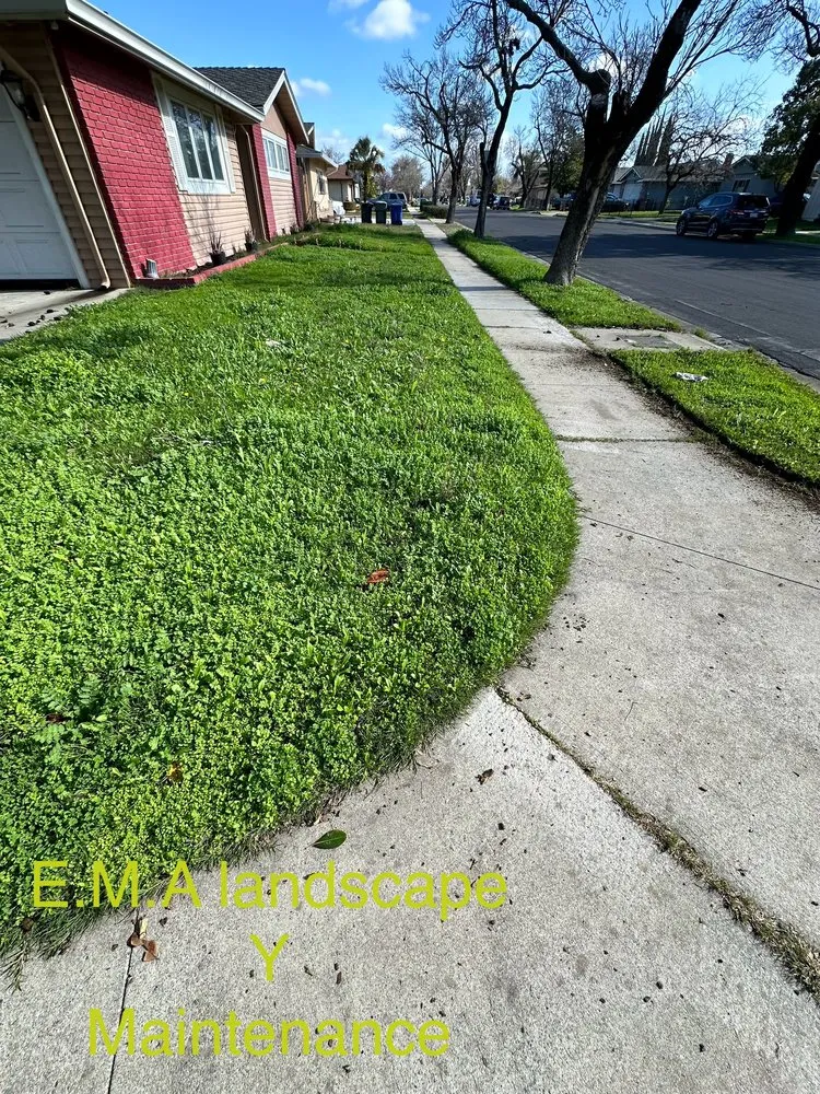 Professional garden landscaping in Ceres, CA - E M A Landscaping & Maintenance