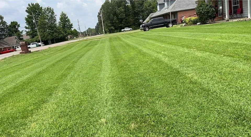 Trusted yard cleanup service in Oakland, TN by E M Landscaping