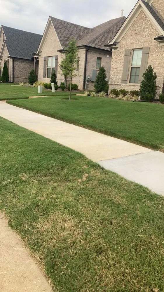 Local landscape installation experts serving Oakland, TN - E M Landscaping