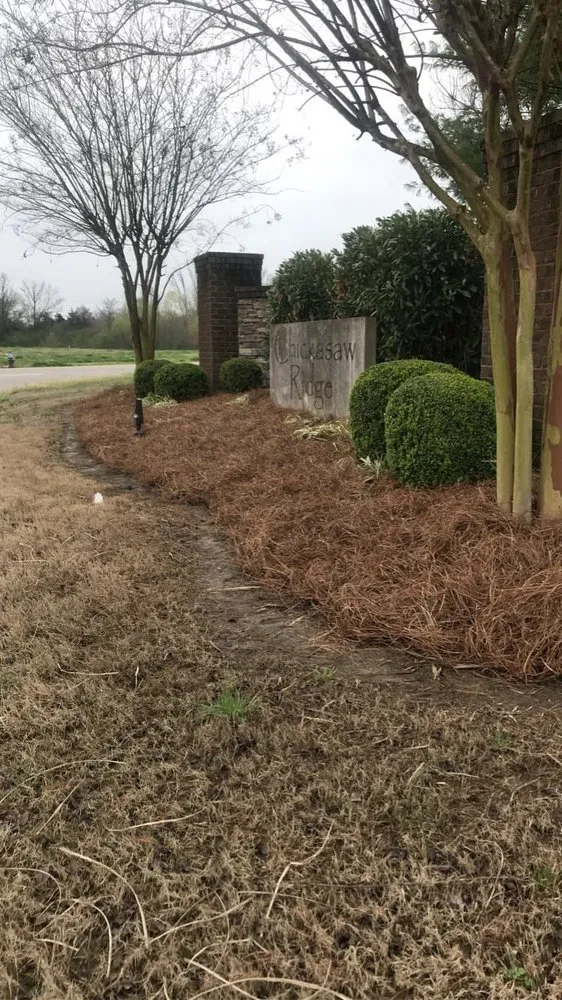 Reliable landscaping services in Oakland, TN - E M Landscaping
