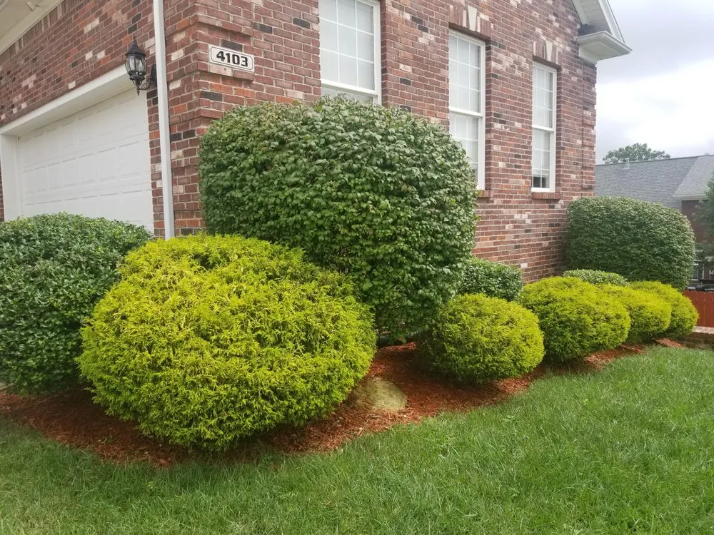 Affordable landscape design in Louisville, KY - E M Landscaping Source