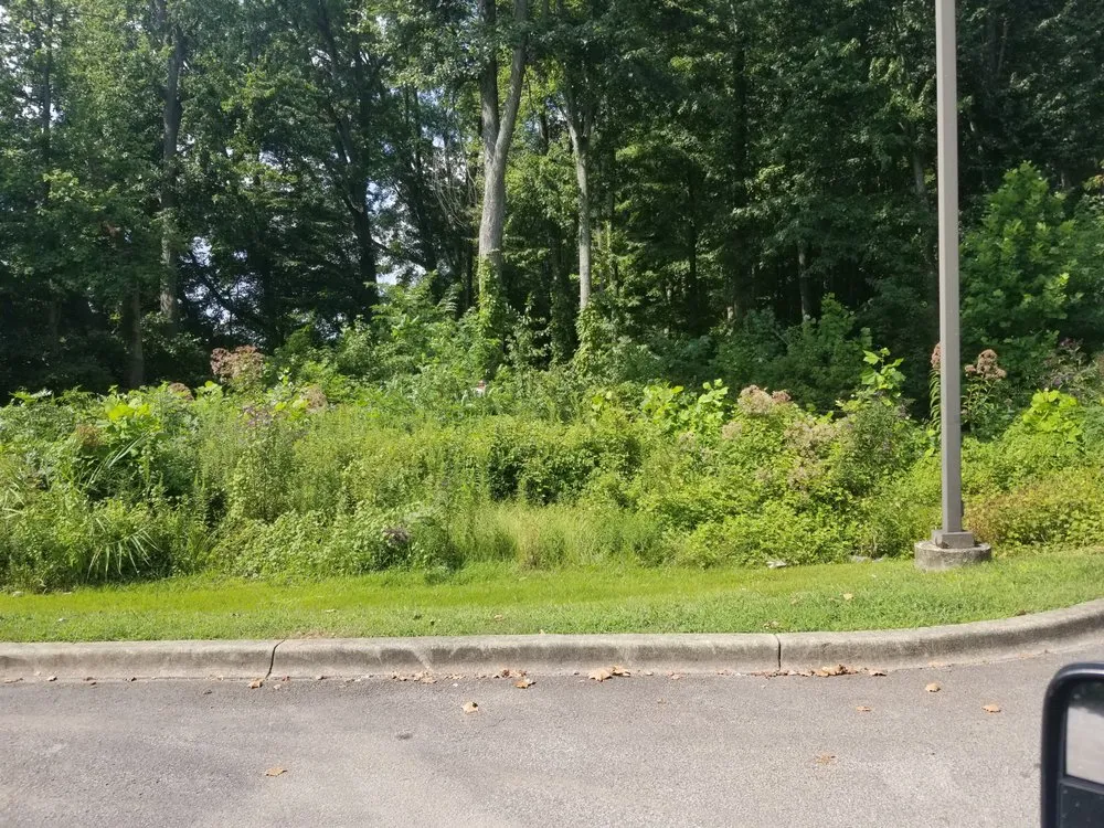 Expert residential landscaping experts serving Louisville, KY - E M Landscaping Source