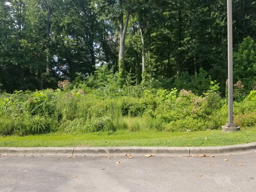 Custom landscaping services in Louisville, KY by E M Landscaping Source