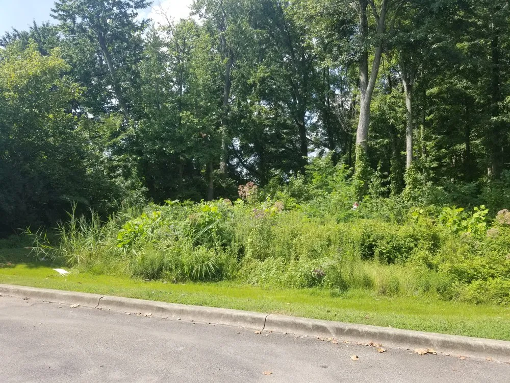 Reliable lawn care service for year-round maintenance in Louisville, KY by E M Landscaping Source