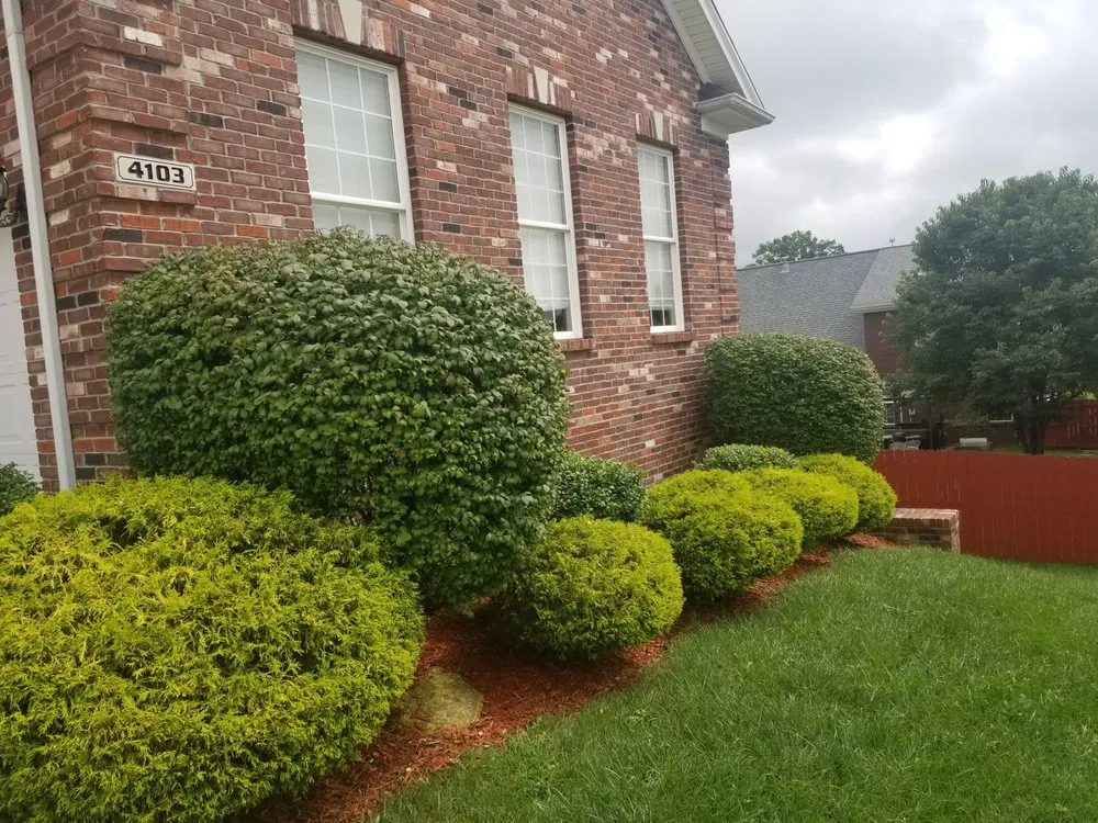 Affordable lawn mowing service in Louisville, KY - E M Landscaping Source