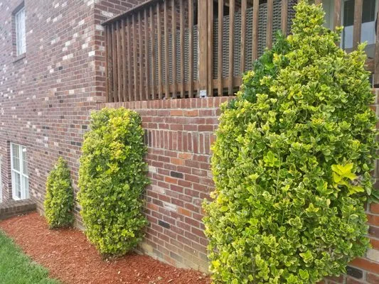 E M Landscaping Source Logo