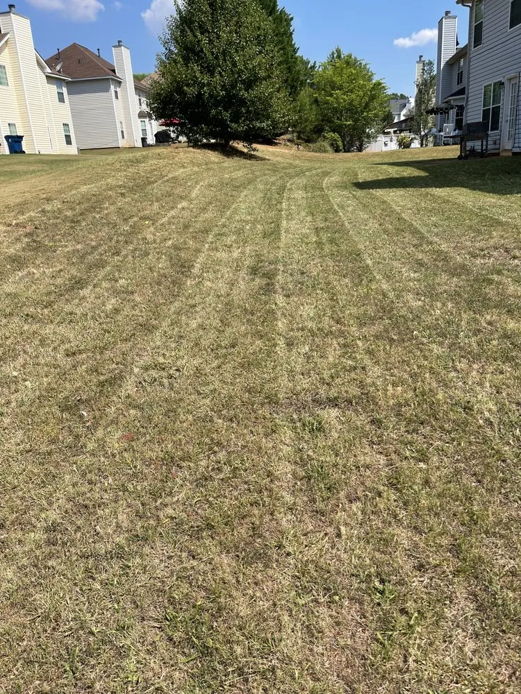 Affordable lawn care service in Covington, GA by E M LawnCare