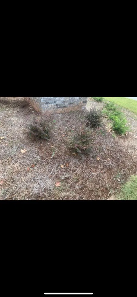 Reliable outdoor landscaping in Covington, GA - E M LawnCare