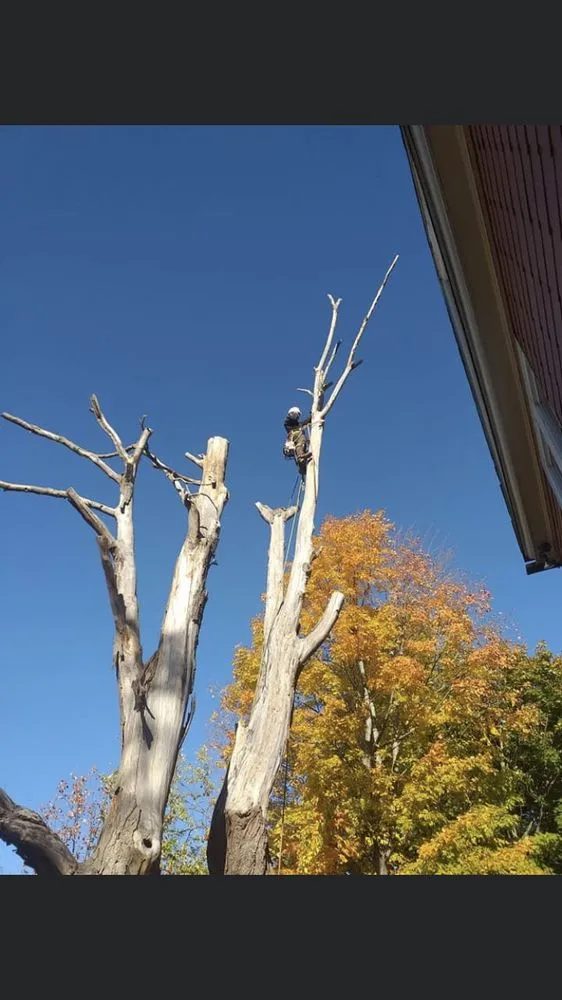 Custom landscaping services in Methuen, MA by E M Pro Landscaping & Construction