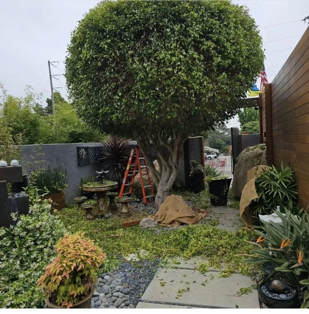 Top-rated garden landscaping in Poway, CA by E-Magine Landscape Construction