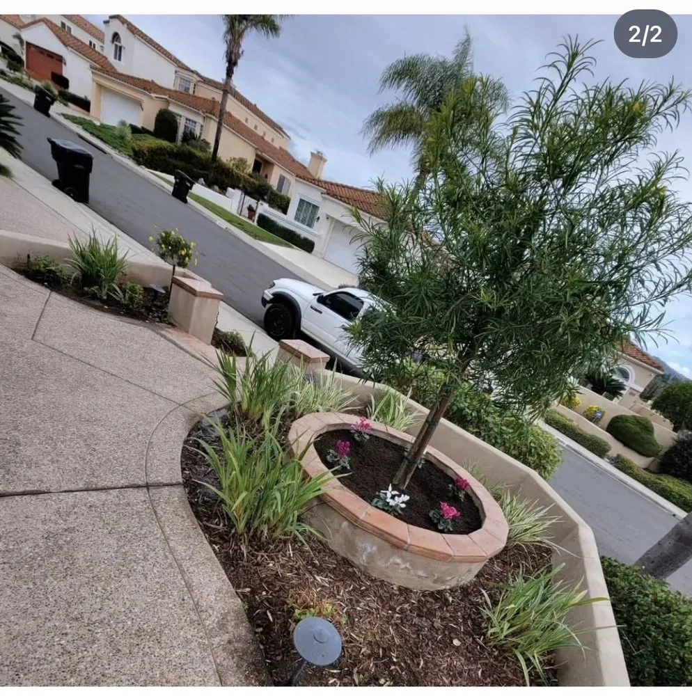 Custom yard maintenance experts serving Poway, CA - E-Magine Landscape Construction