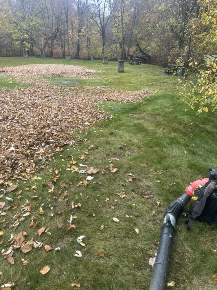 Professional yard maintenance experts serving Lynn, MA - E Mendez Landscaping and Masonry