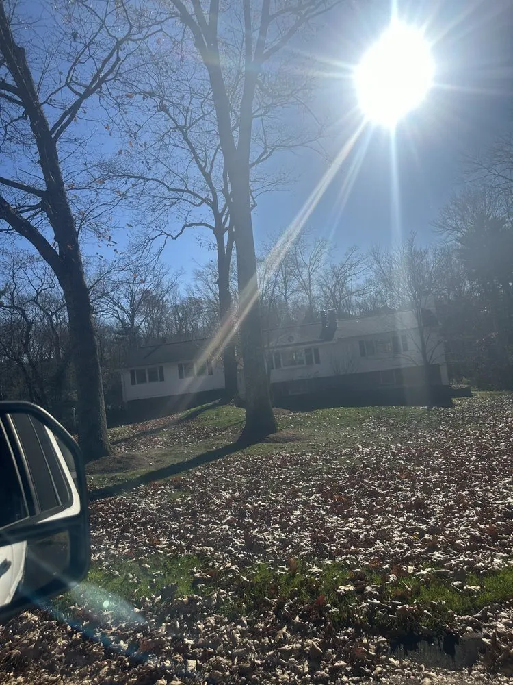 Affordable yard cleanup service for residential properties in Lynn, MA by E Mendez Landscaping and Masonry