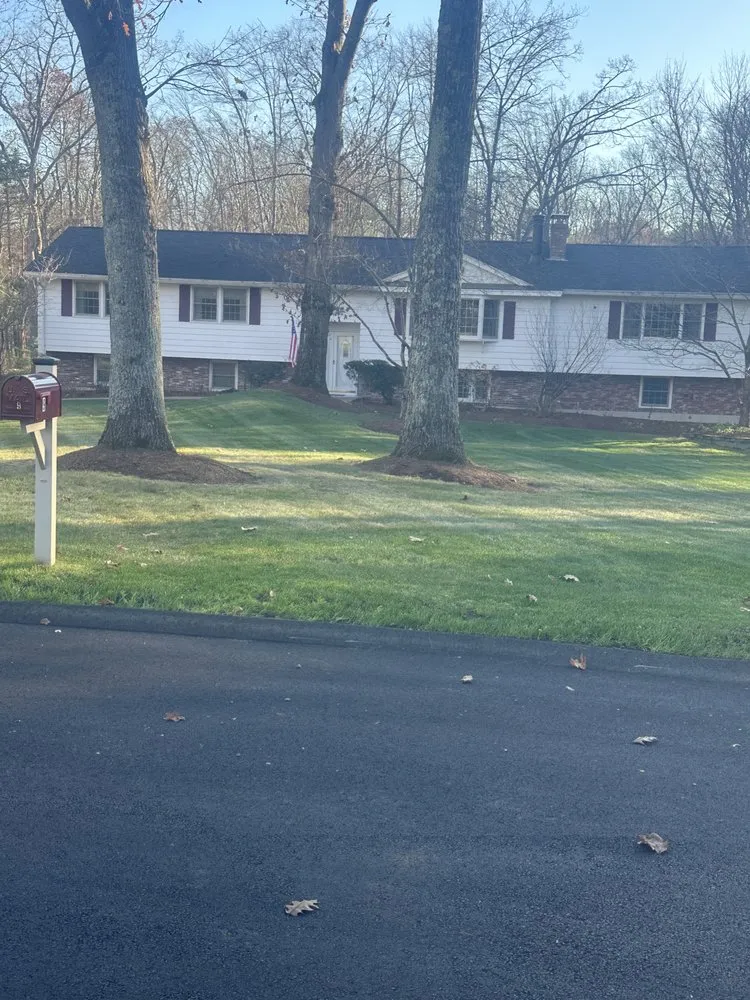 Local garden landscaping for year-round maintenance in Lynn, MA by E Mendez Landscaping and Masonry