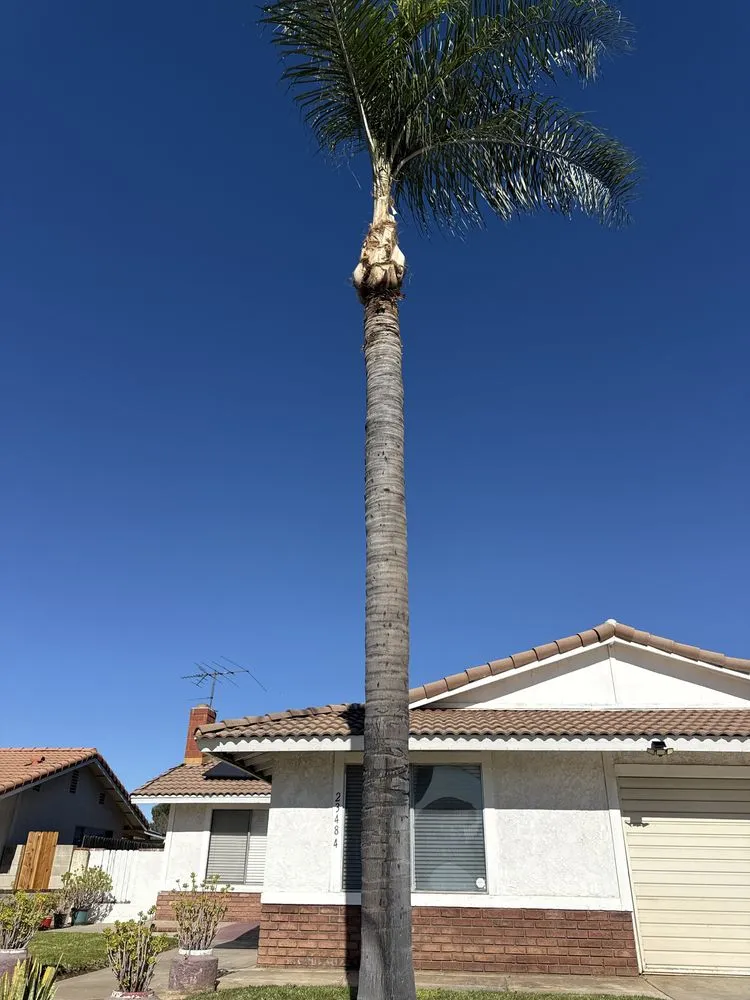 Trusted landscape installation in San Bernardino, CA - E N D Landscaping