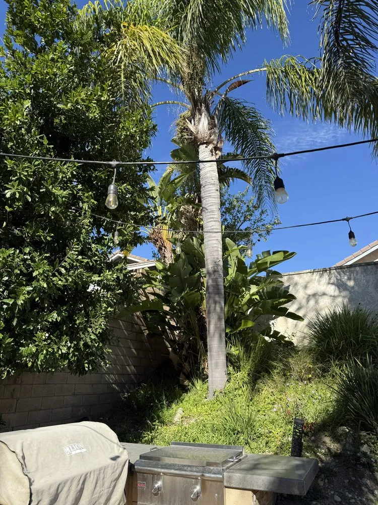 Expert lawn care service for residential properties across San Bernardino, CA - E N D Landscaping