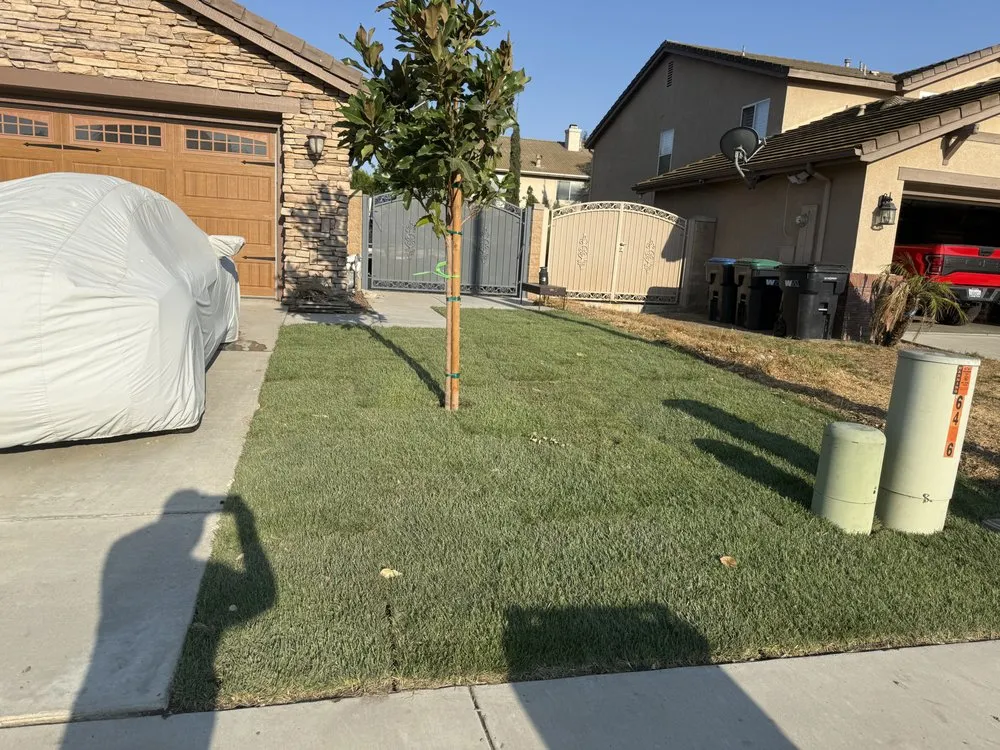 Top-rated yard maintenance in San Bernardino, CA by E N D Landscaping