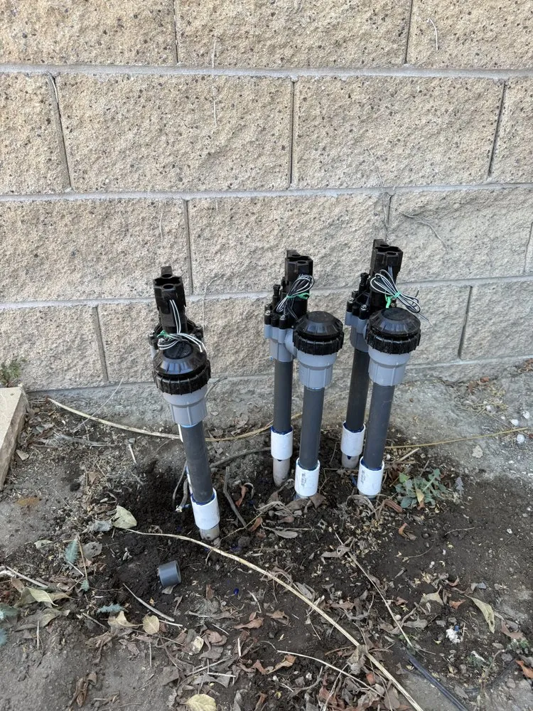 Local yard maintenance for homes across San Bernardino, CA - E N D Landscaping