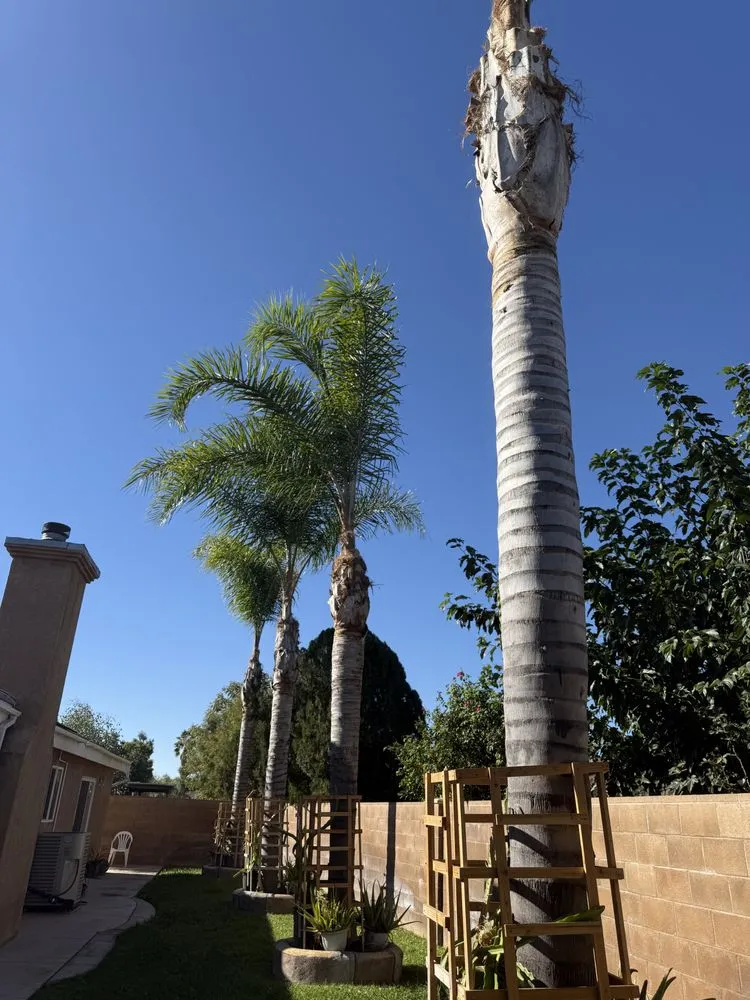 Local residential landscaping in San Bernardino, CA by E N D Landscaping