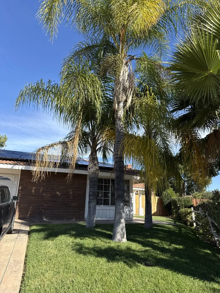 Top-rated landscaping services with custom design in San Bernardino, CA by E N D Landscaping