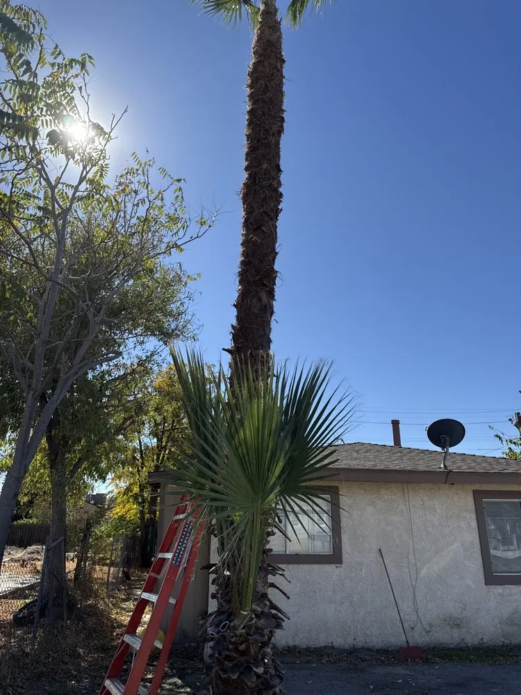 Professional landscape design for residential properties in San Bernardino, CA by E N D Landscaping