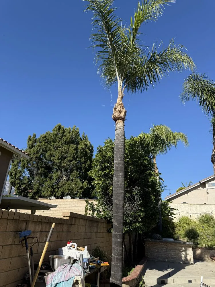 Local landscape design near you across San Bernardino, CA - E N D Landscaping