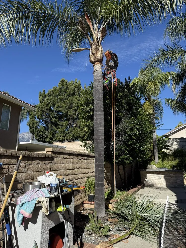 Expert outdoor landscaping with custom design across San Bernardino, CA - E N D Landscaping