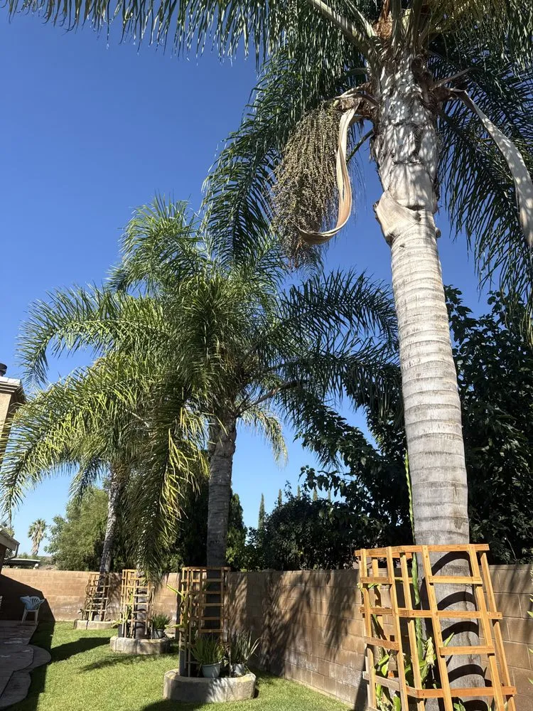 Affordable landscape installation experts serving San Bernardino, CA - E N D Landscaping