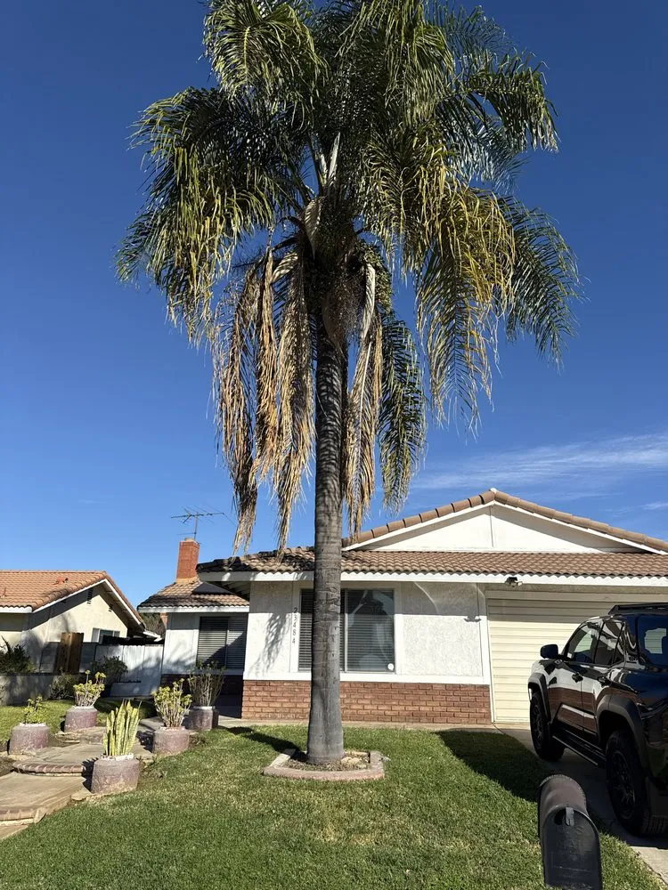 Affordable outdoor landscaping for year-round maintenance across San Bernardino, CA - E N D Landscaping